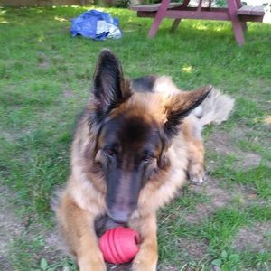 Meet your Posher, Bill